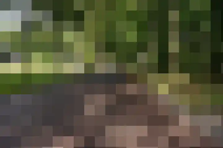Oude Weg 30 Ter Apel thumbnail 6