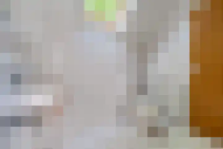 Oude Weg 30 Ter Apel thumbnail 77