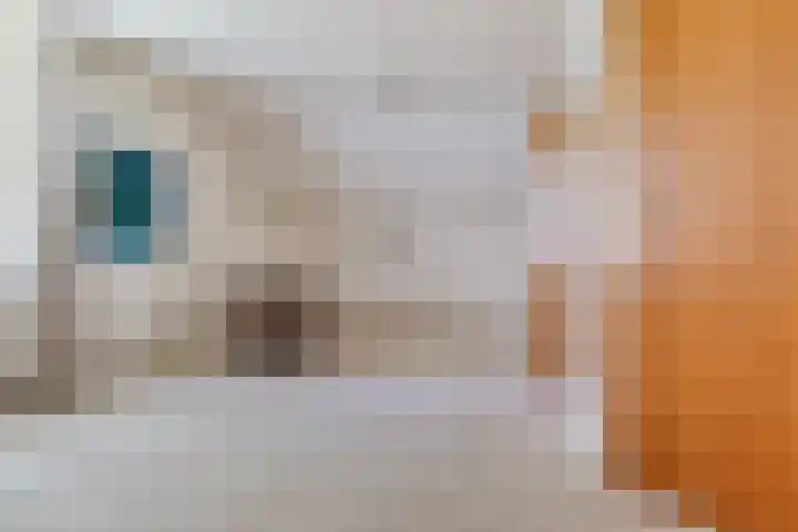 Oude Weg 30 Ter Apel thumbnail 82