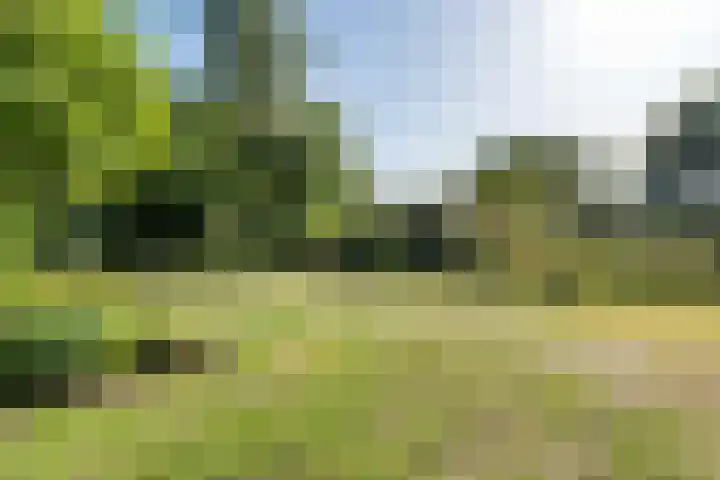 Oude Weg 30 Ter Apel thumbnail 90
