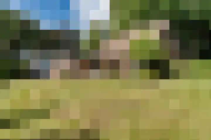 Oude Weg 30 Ter Apel thumbnail 92