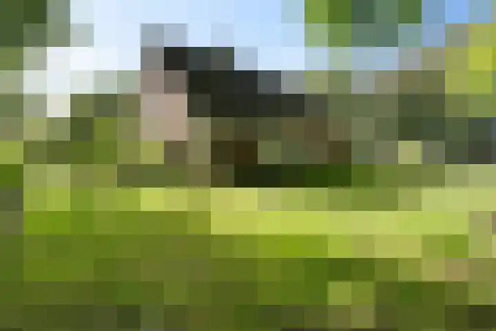 Oude Weg 30 Ter Apel thumbnail 98