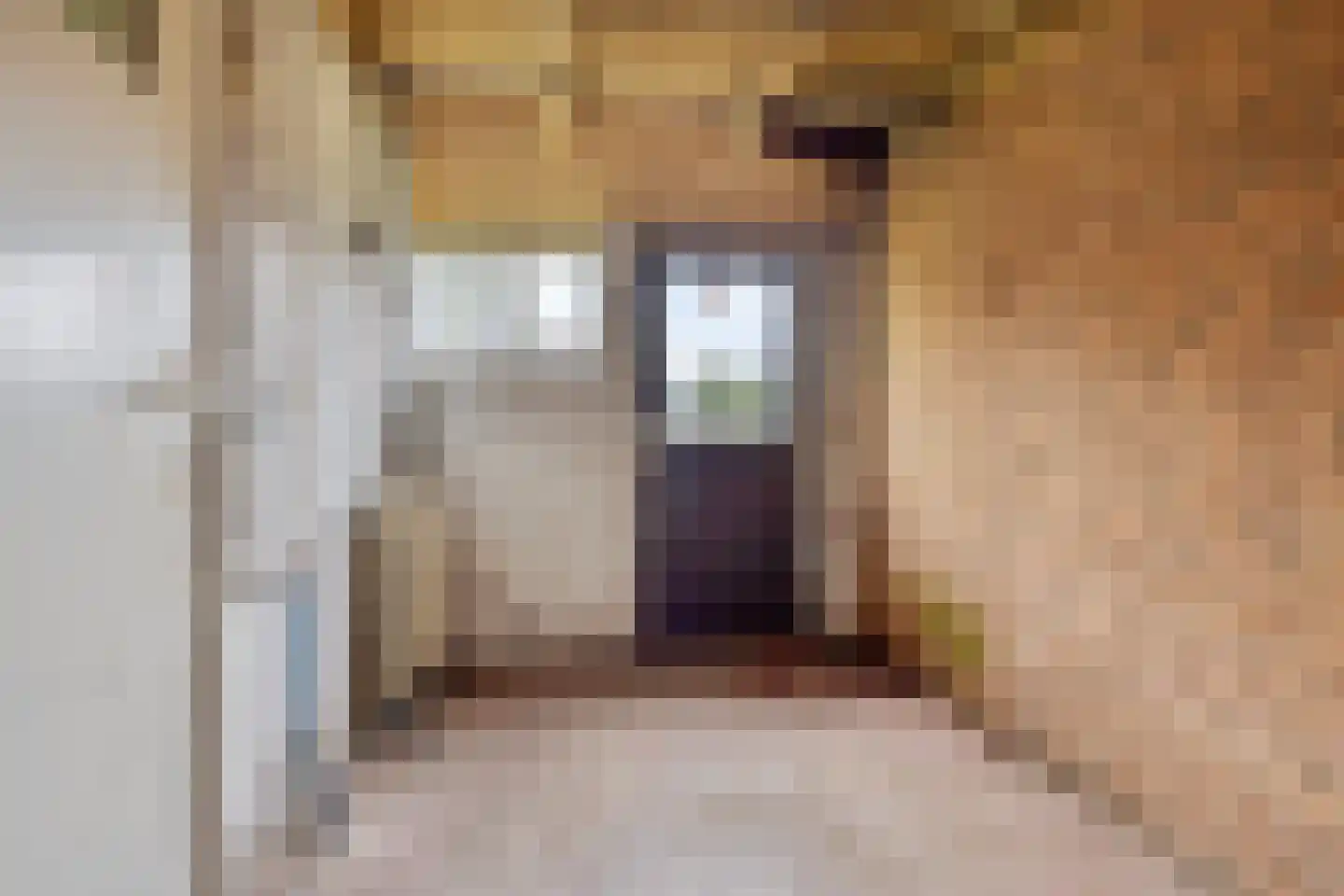 Oude Wehlseweg 26 Doetinchem thumbnail 18