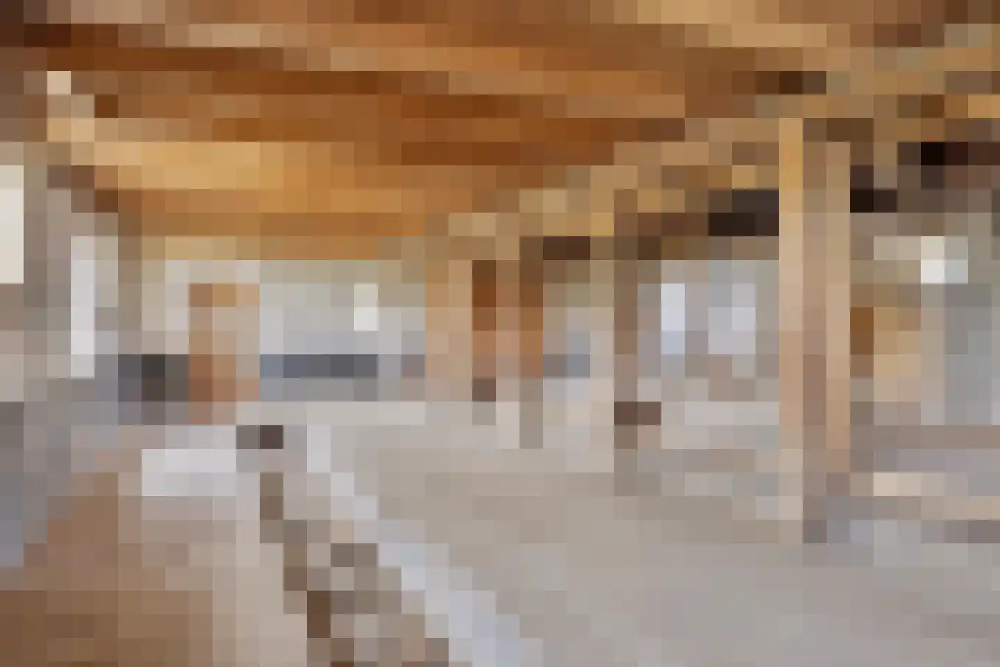 Oude Wehlseweg 26 Doetinchem thumbnail 20