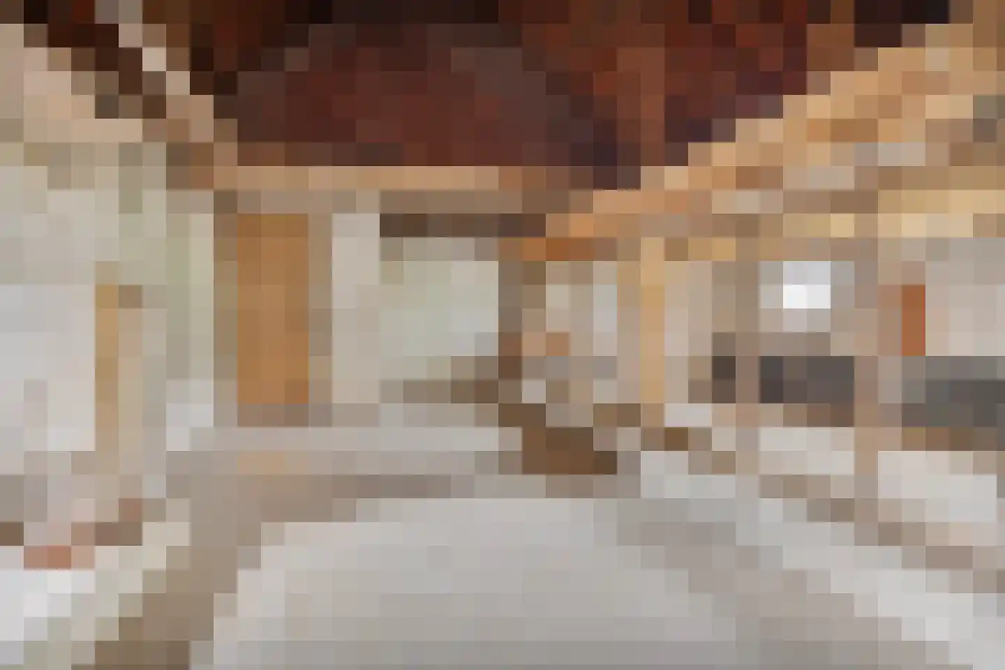 Oude Wehlseweg 26 Doetinchem thumbnail 22