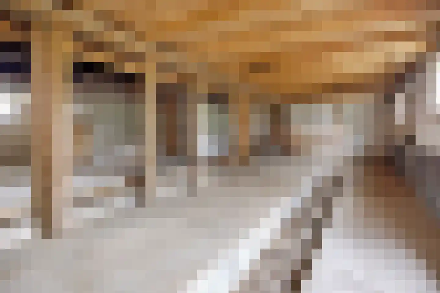 Oude Wehlseweg 26 Doetinchem thumbnail 23