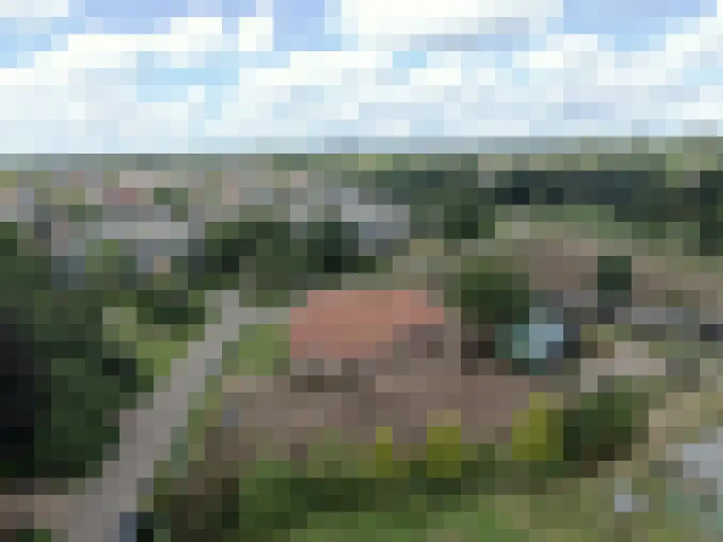 Oude Wehlseweg 26 Doetinchem thumbnail 35