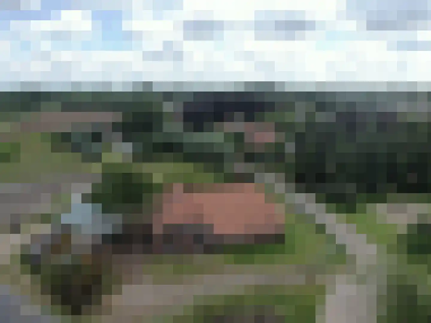 Oude Wehlseweg 26 Doetinchem thumbnail 36