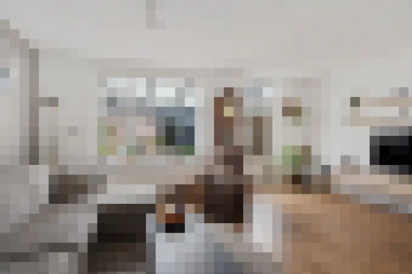 Oude Wei 15 Oss thumbnail 10
