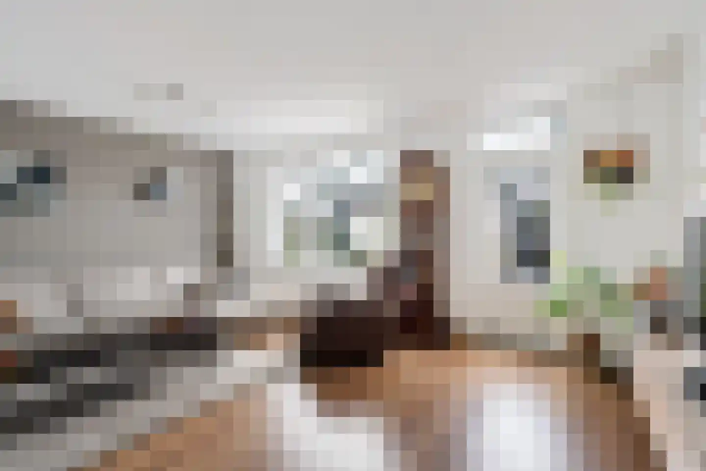 Oude Wei 15 Oss thumbnail 11