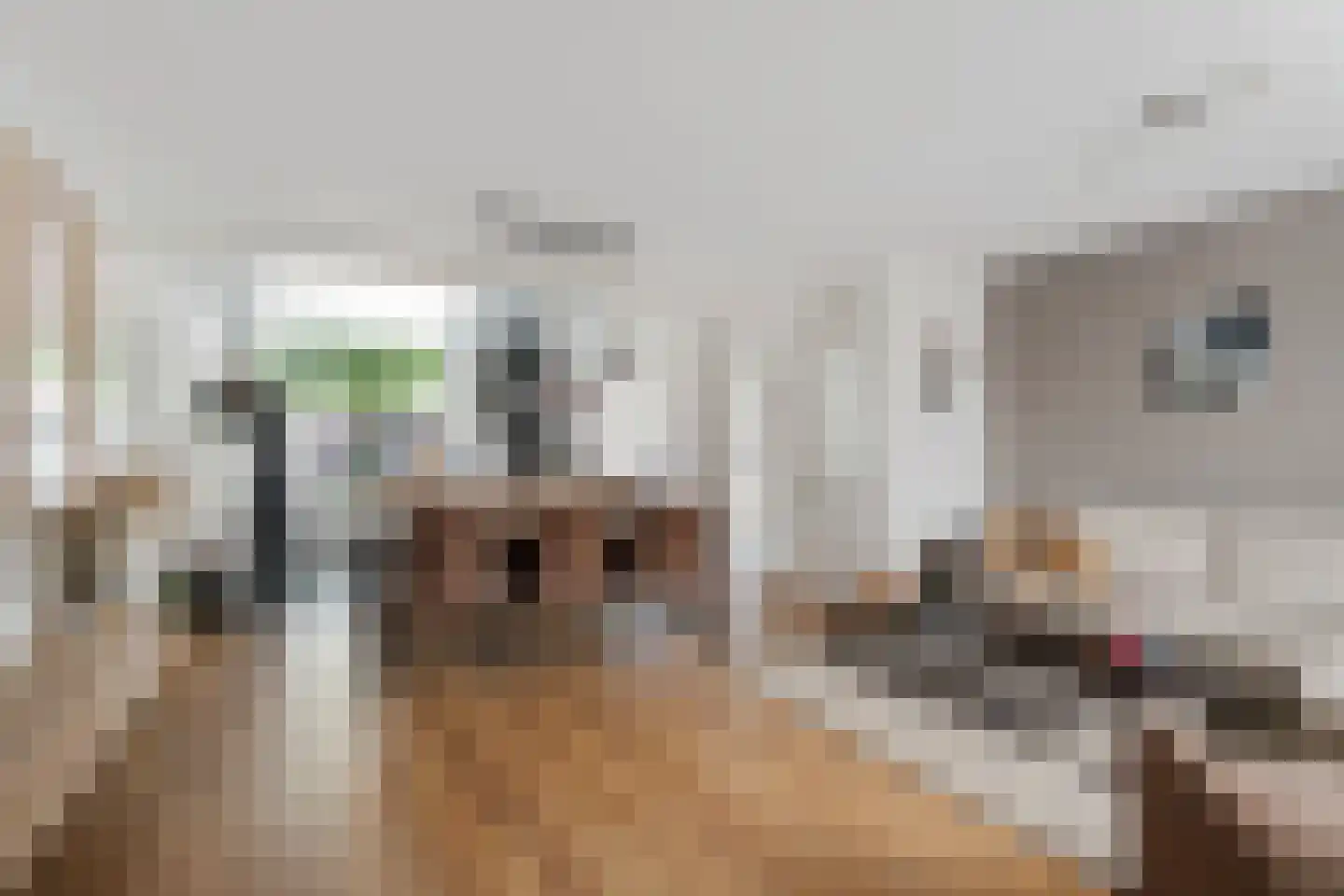 Oude Wei 15 Oss thumbnail 13