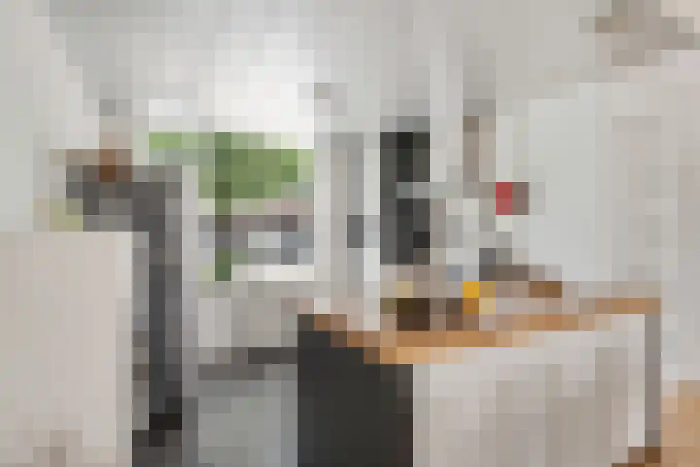 Oude Wei 15 Oss thumbnail 14