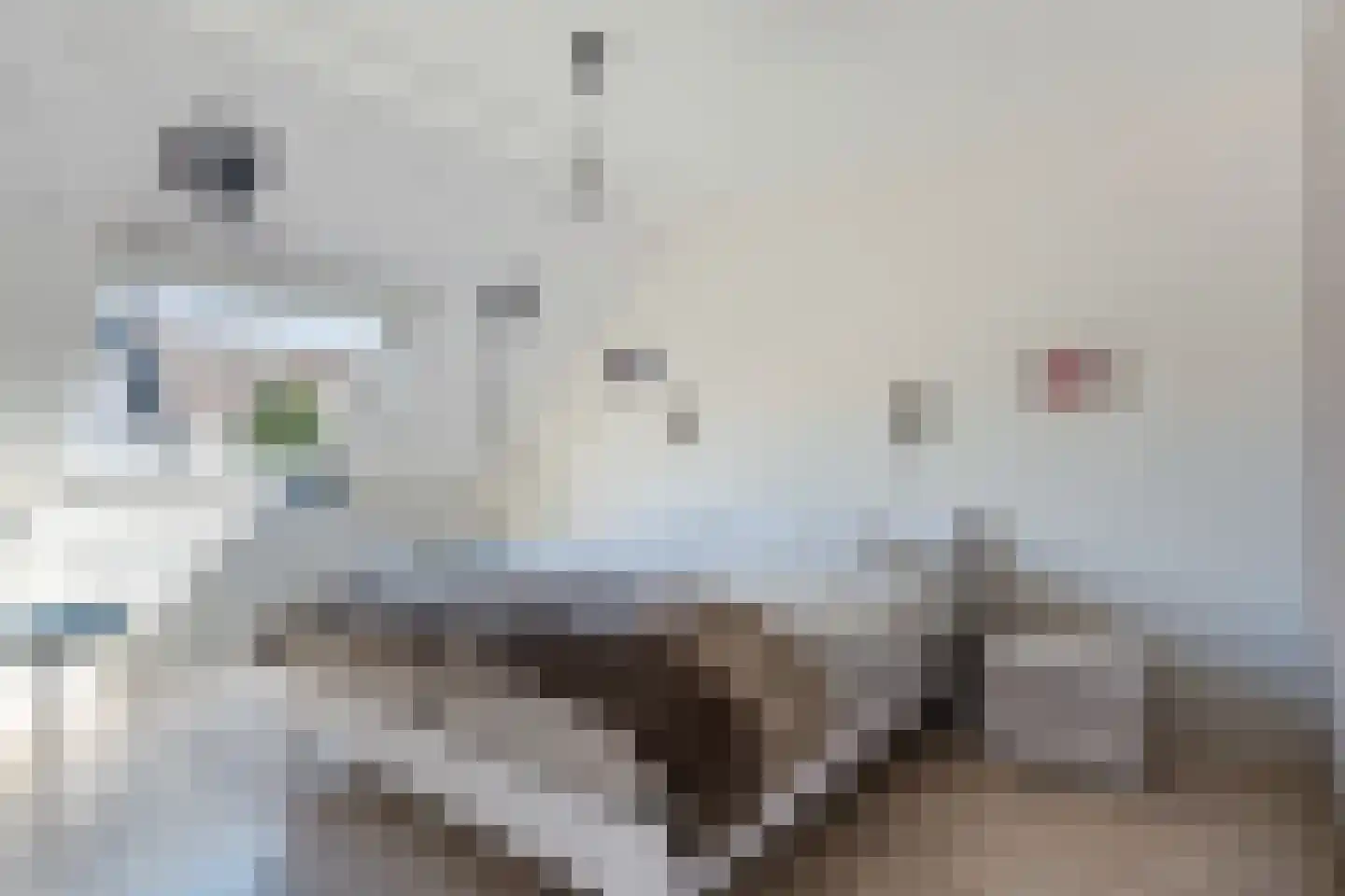 Oude Wei 15 Oss thumbnail 20
