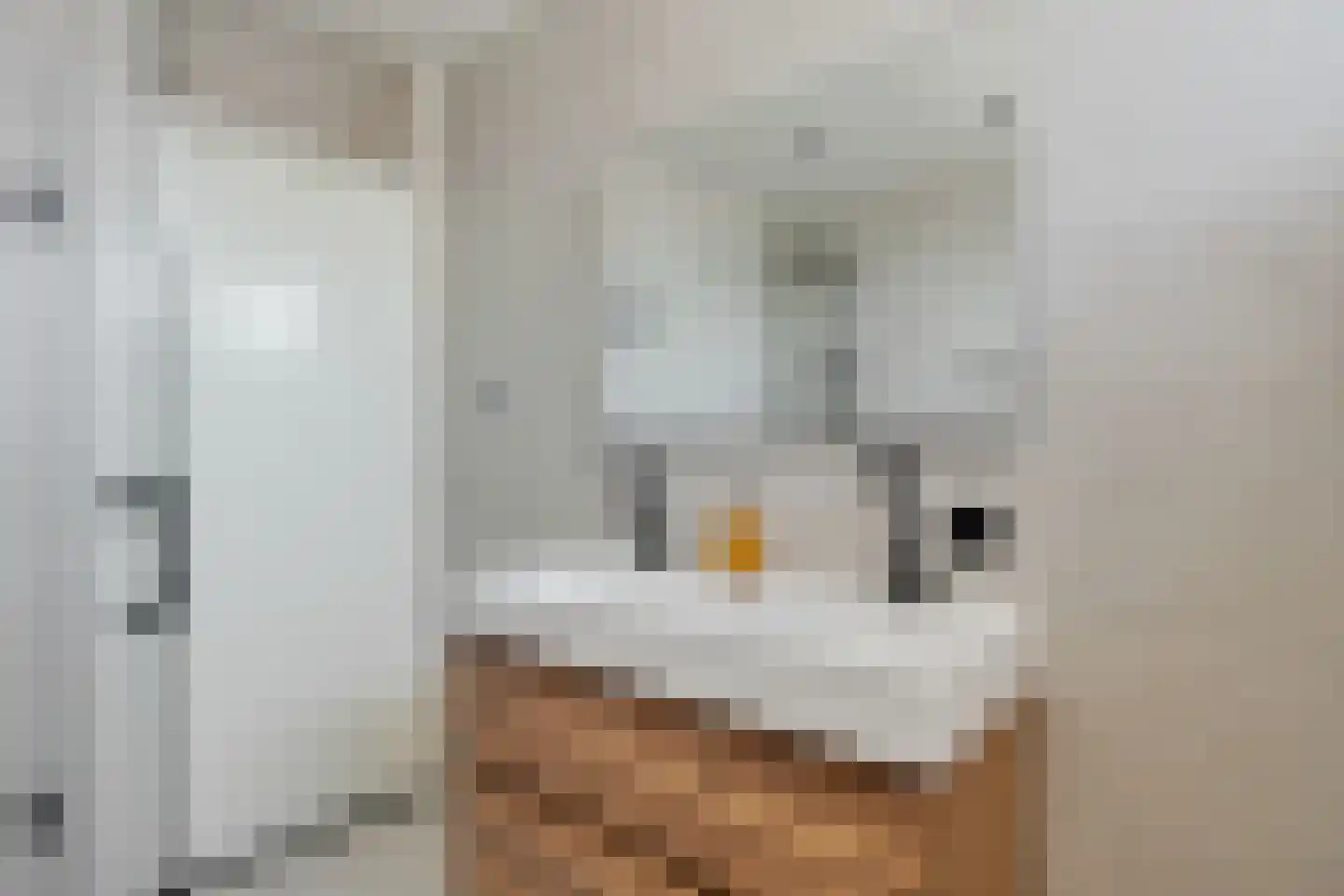 Oude Wei 15 Oss thumbnail 29