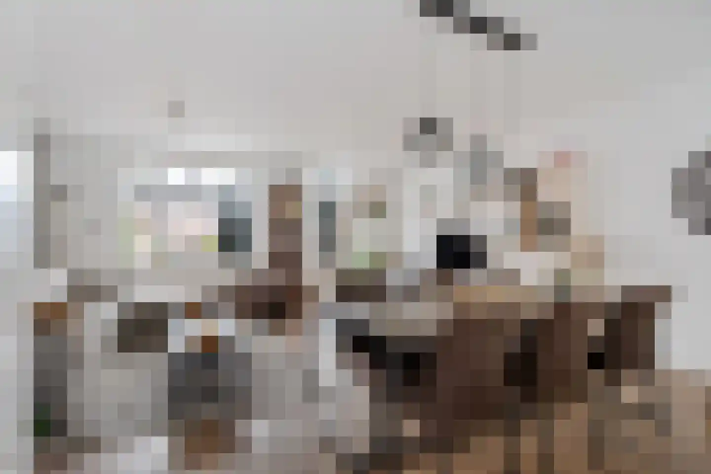 Oude Wei 15 Oss thumbnail 9