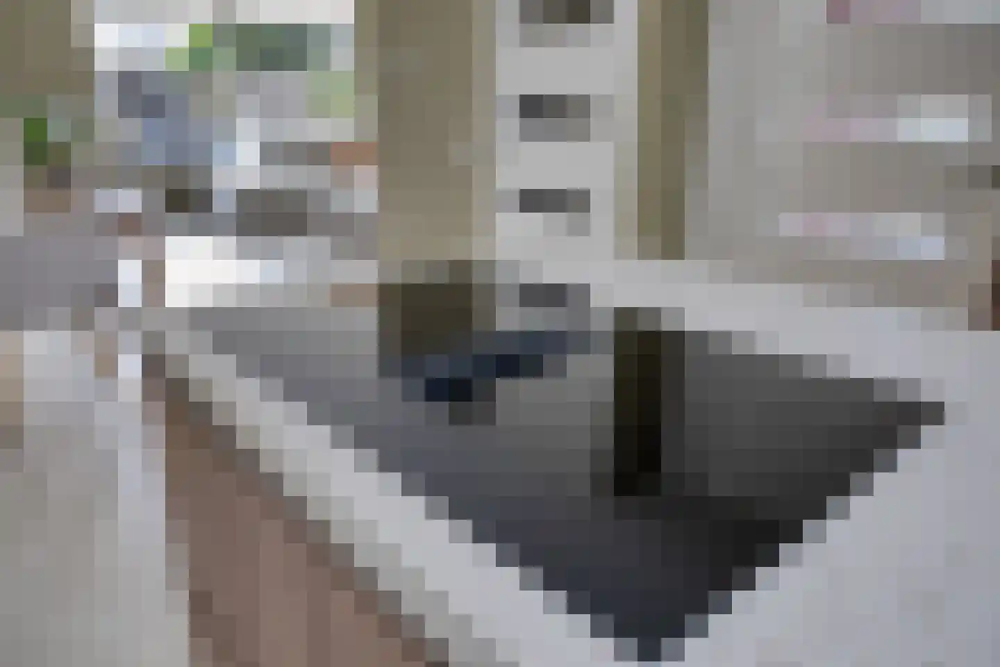 Oude Wei 45 Oss thumbnail 21
