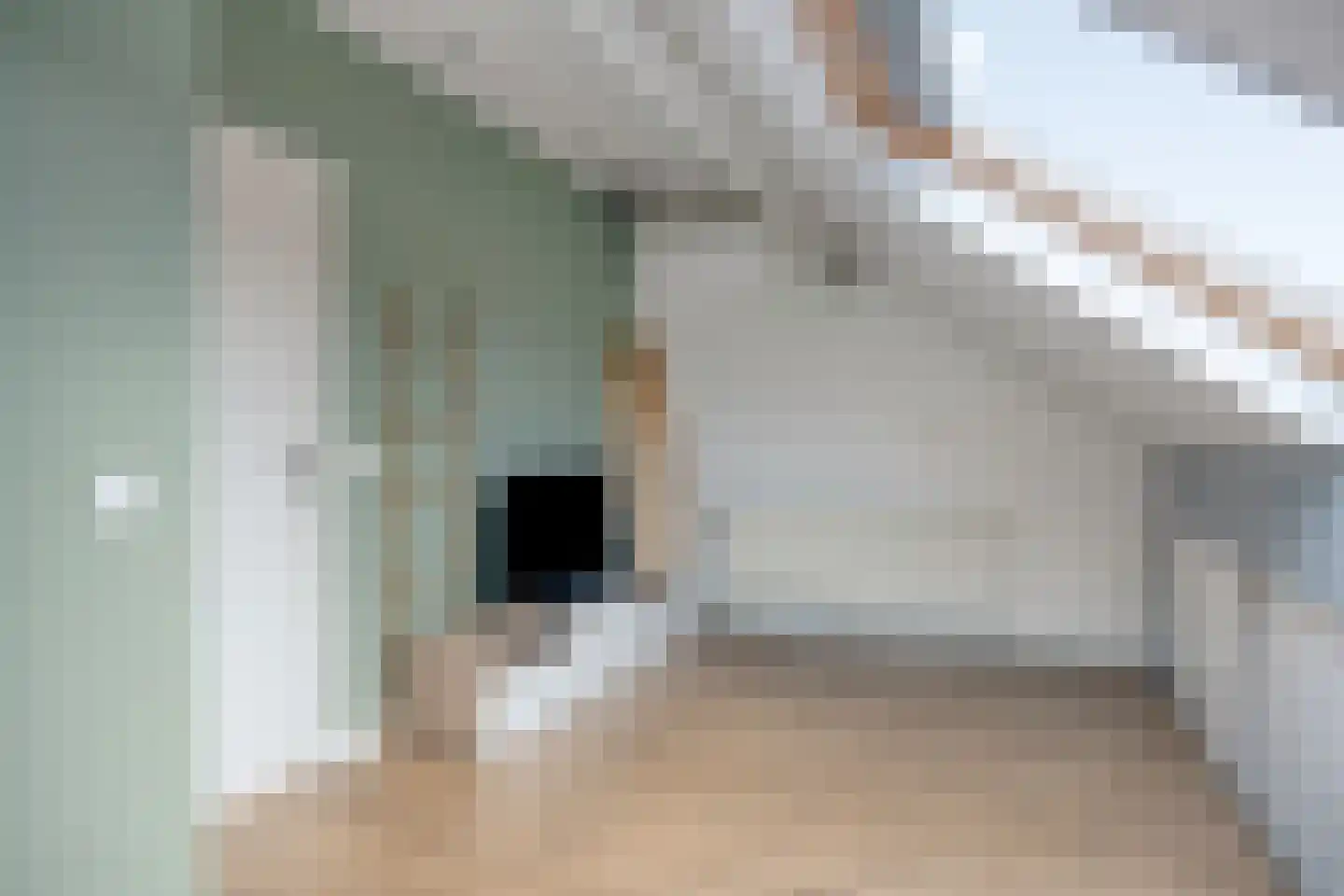 Oude Wei 45 Oss thumbnail 44