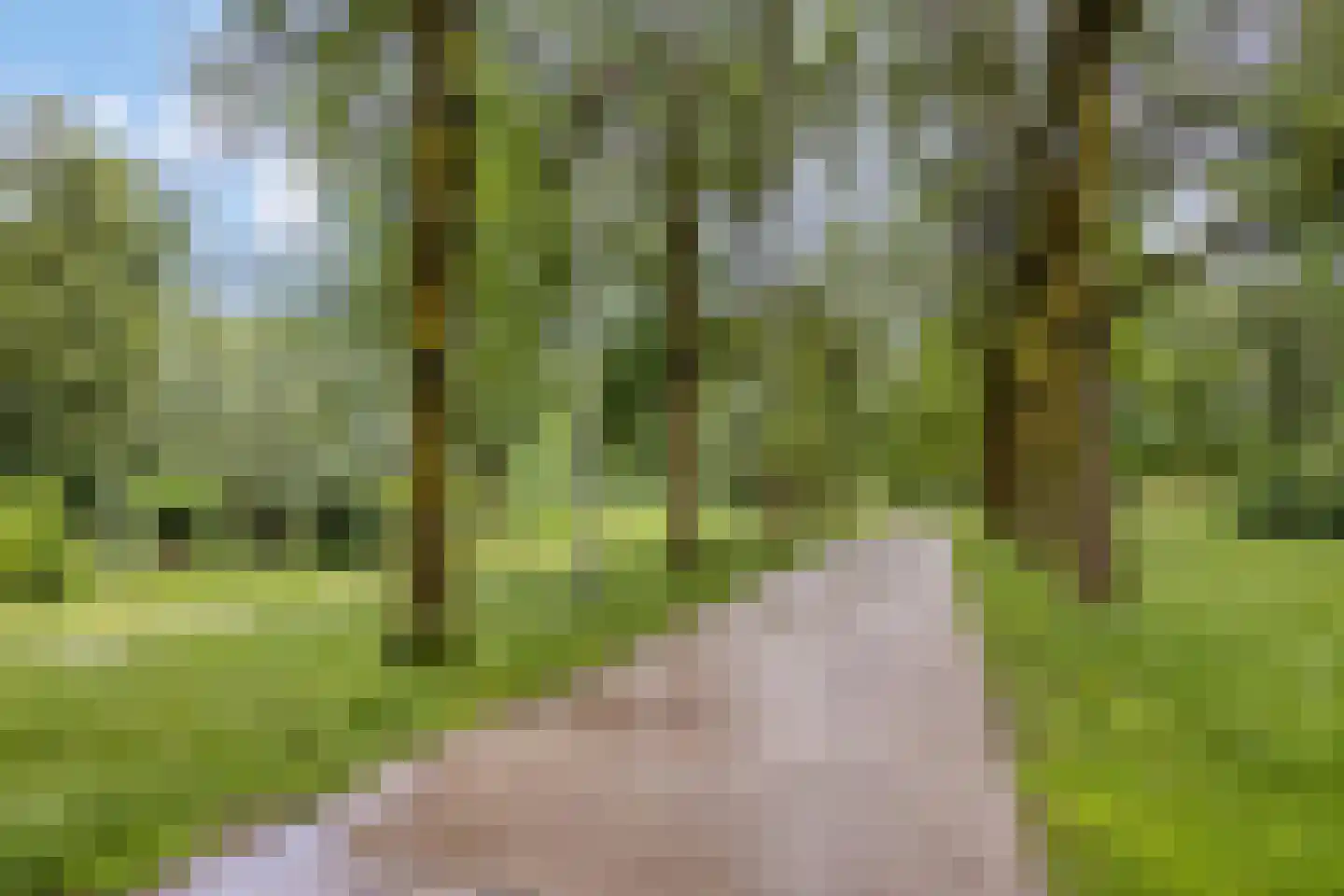 Oude Wei 45 Oss thumbnail 48