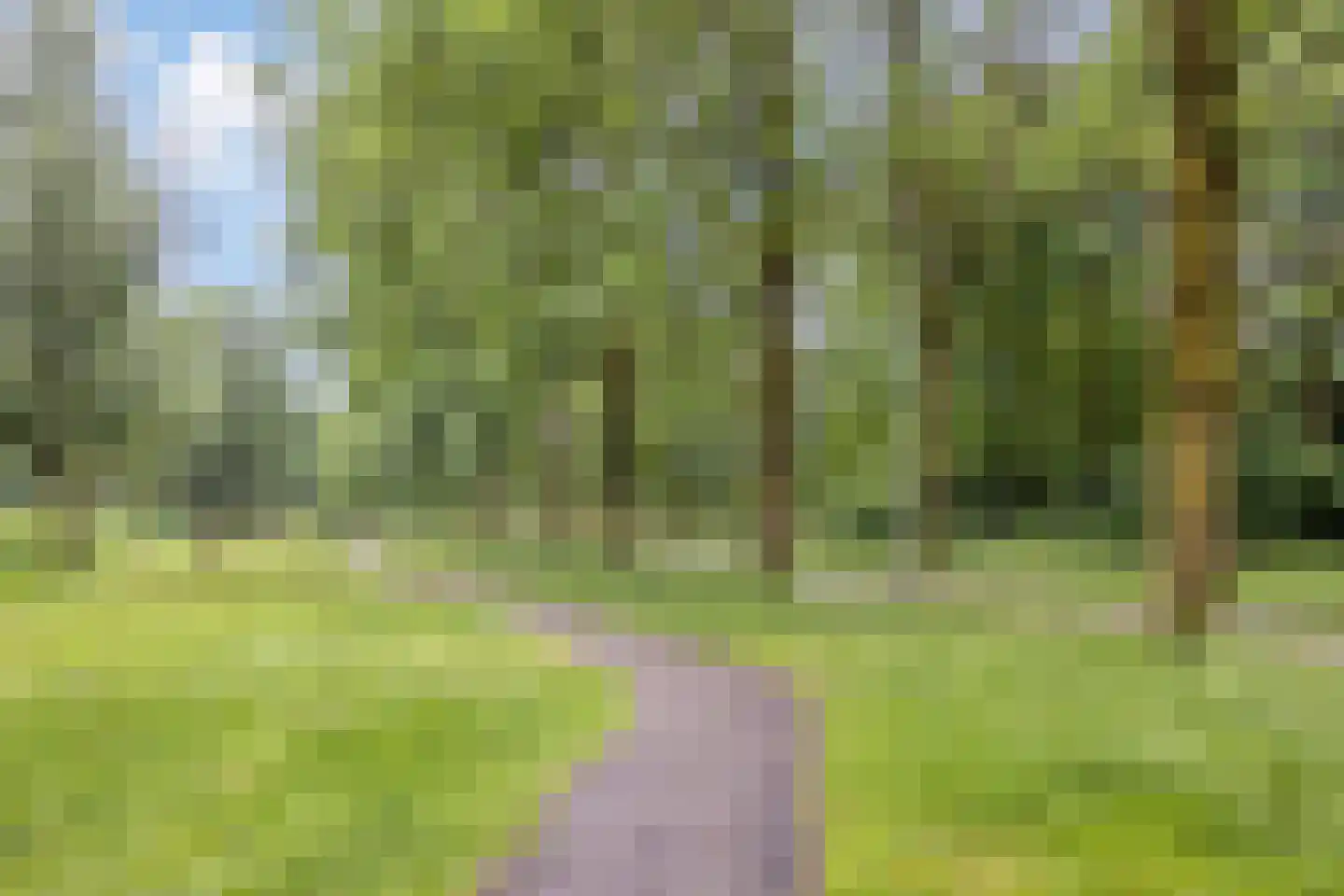 Oude Wei 45 Oss thumbnail 49