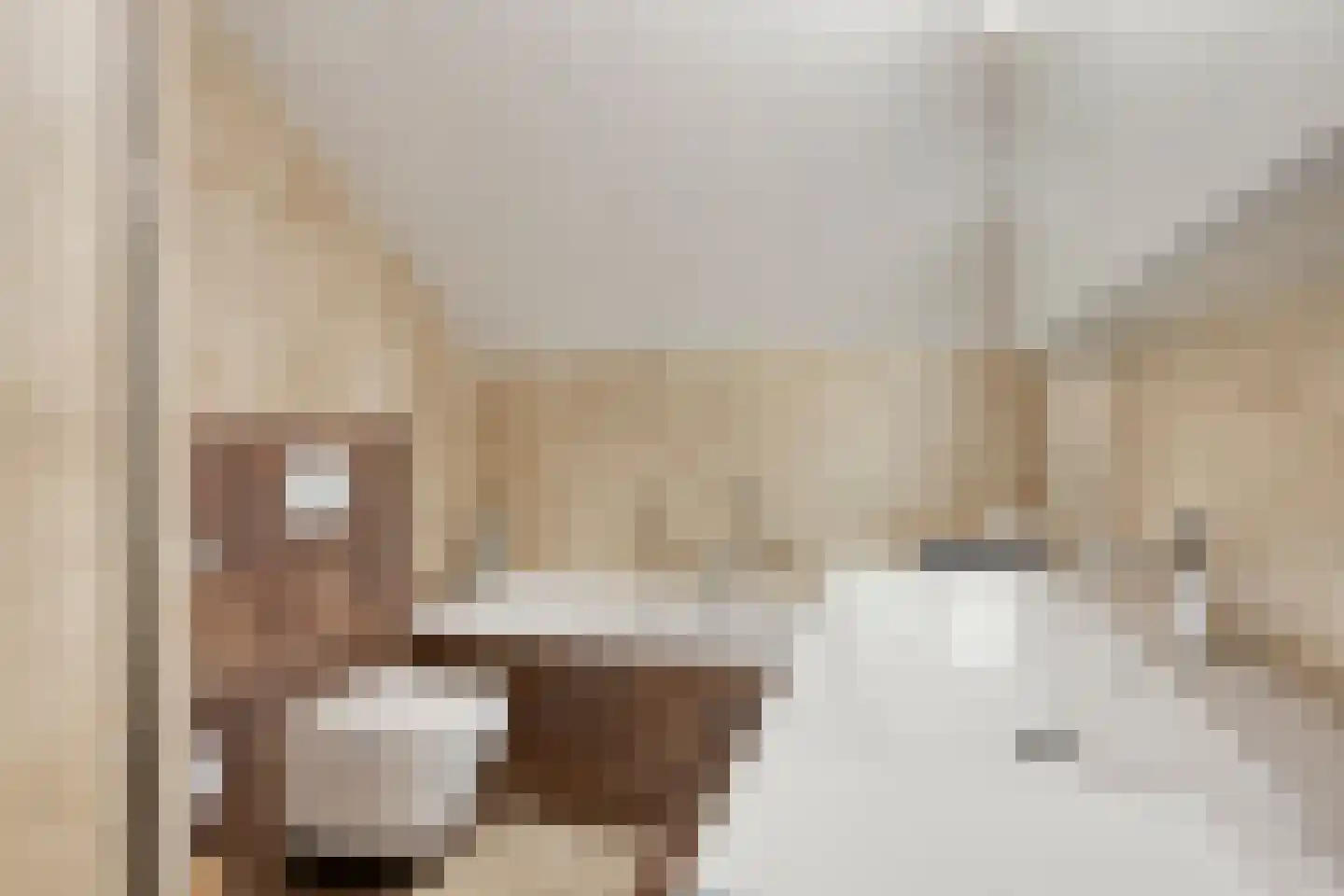 Oude Wei 69 Oss thumbnail 16