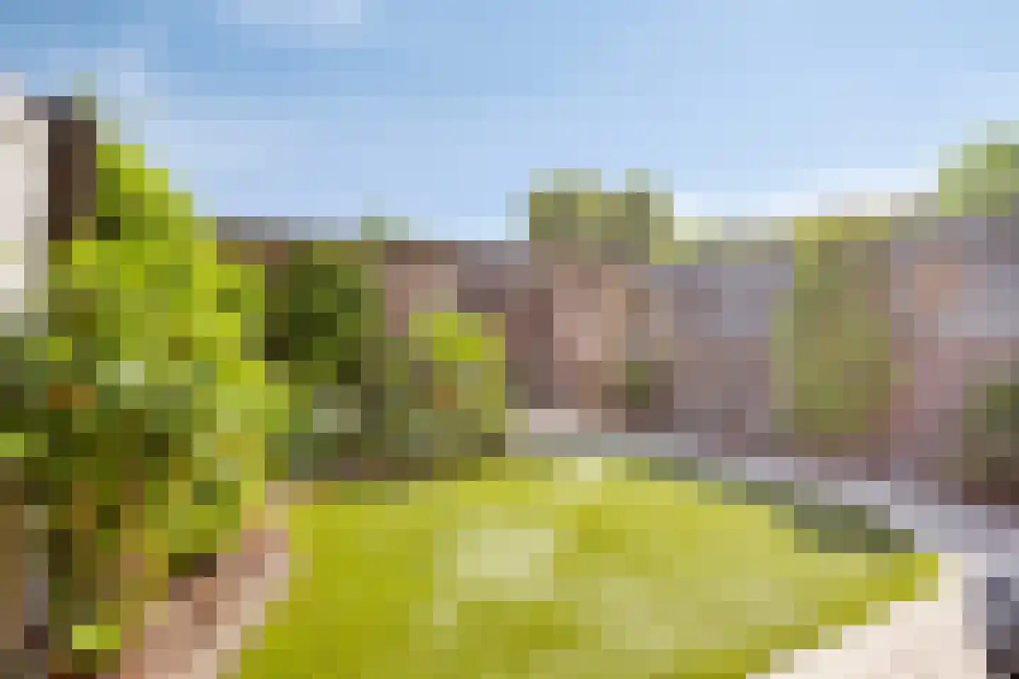 Oude Wei 69 Oss thumbnail 25