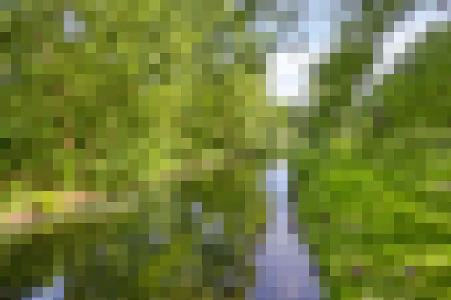 Oude Wei 69 Oss thumbnail 29