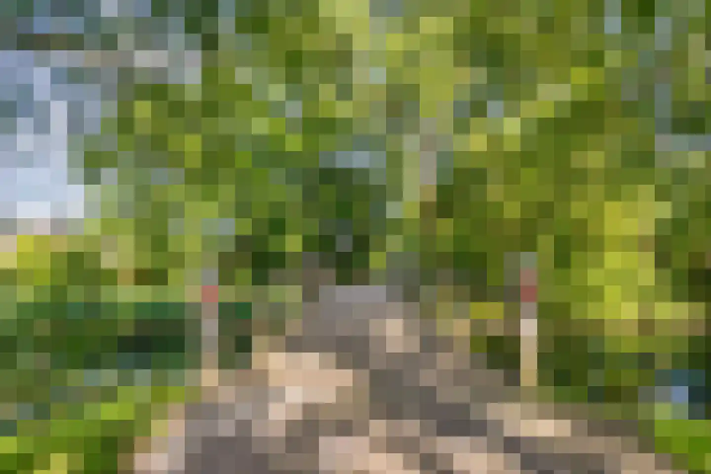 Oude Wei 69 Oss thumbnail 30