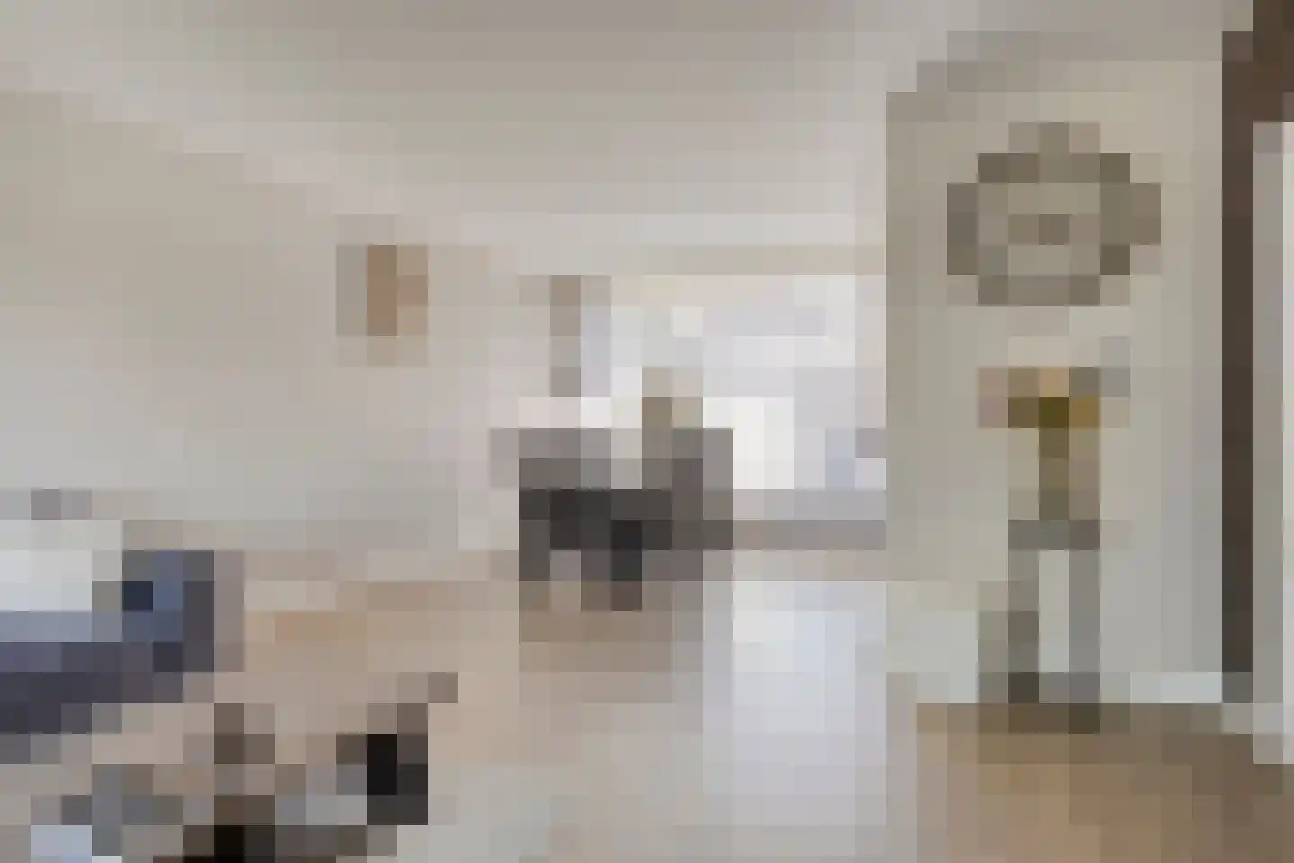 Oude Wei 69 Oss thumbnail 6
