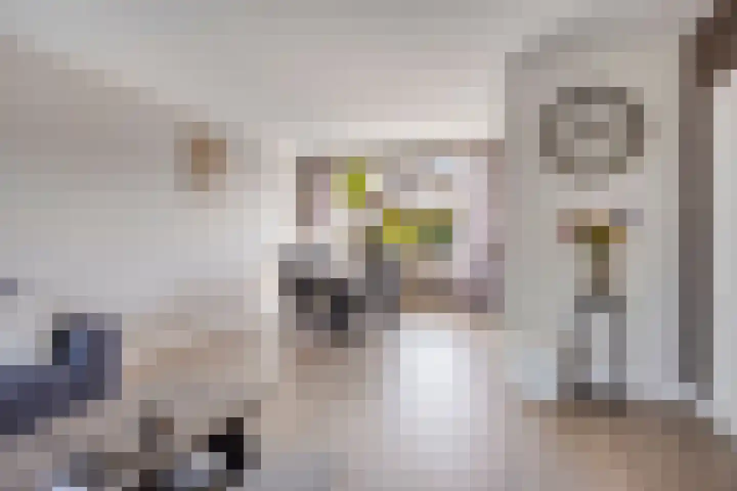 Oude Wei 69 Oss thumbnail 8