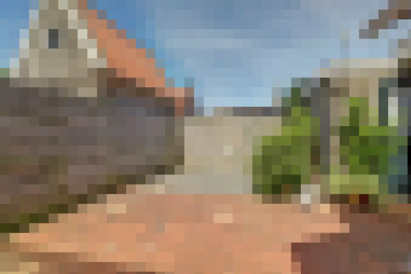 Oude Weide 18 Hindeloopen thumbnail 25