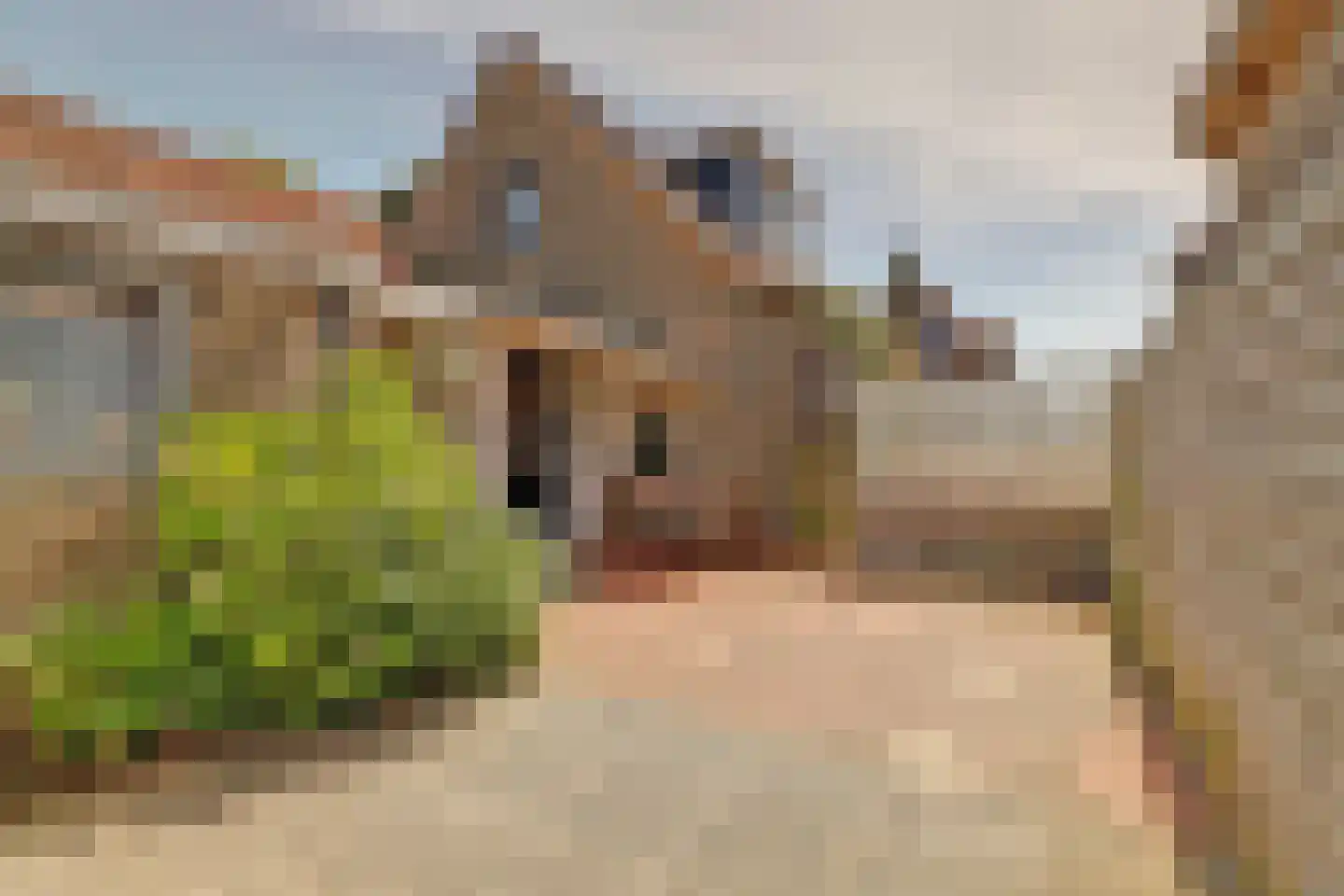 Oude Weide 18 Hindeloopen thumbnail 28