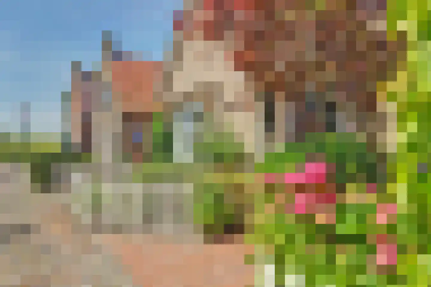 Oude Weide 18 Hindeloopen thumbnail 34