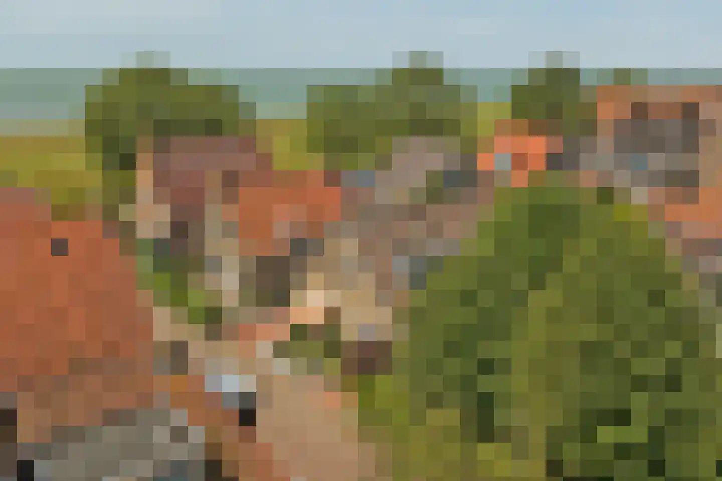 Oude Weide 18 Hindeloopen thumbnail 36