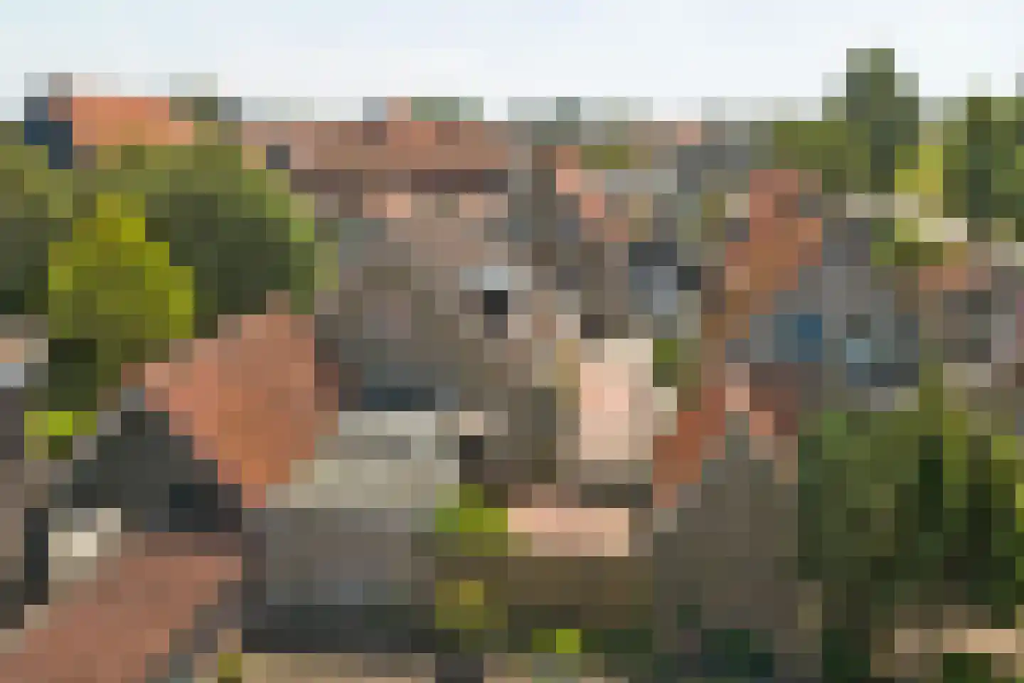Oude Weide 18 Hindeloopen thumbnail 37