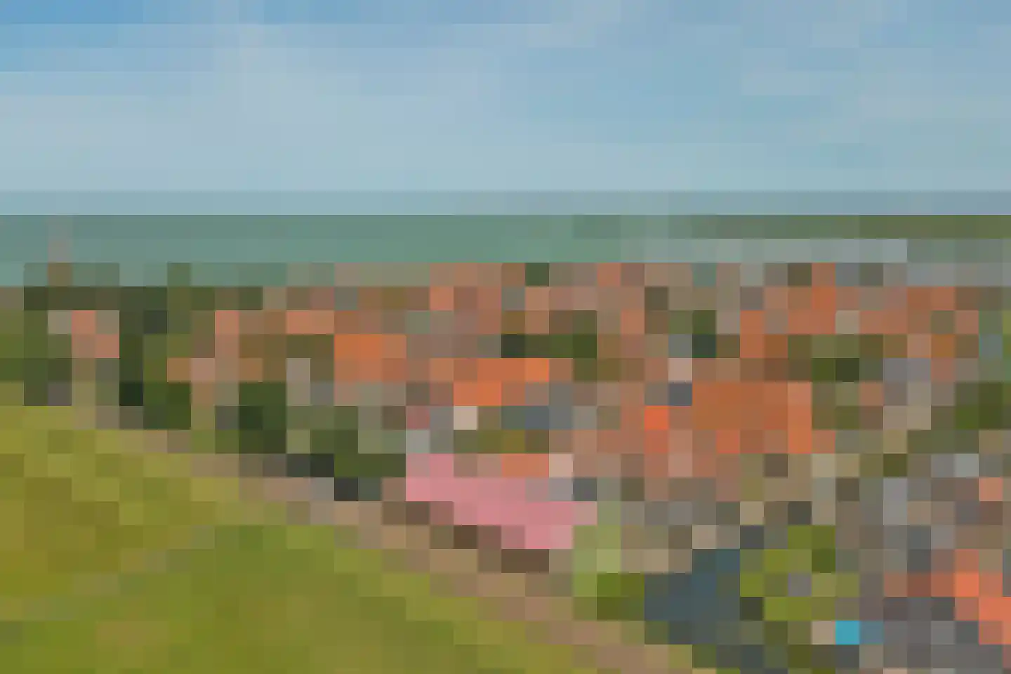 Oude Weide 18 Hindeloopen thumbnail 40