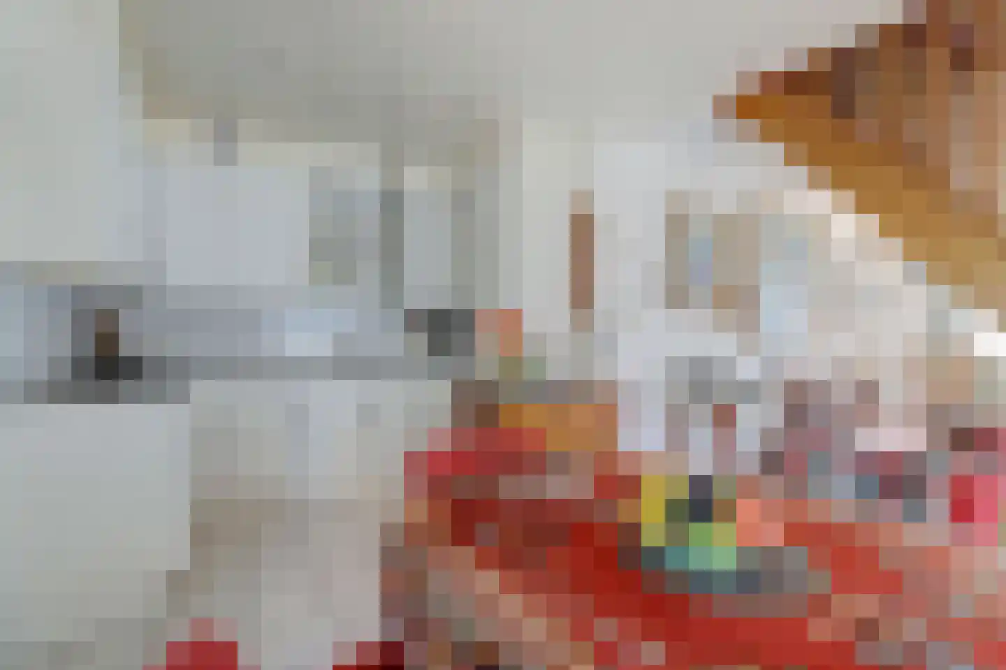 Oude Weide 18 Hindeloopen thumbnail 9