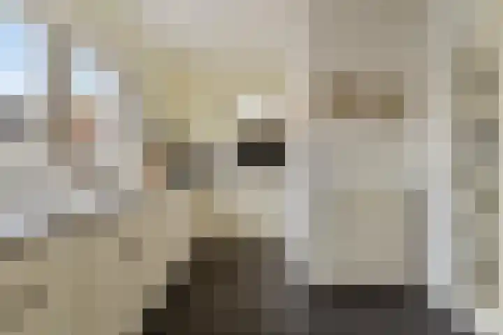 Oude Weidestraat 12 Gameren thumbnail 11