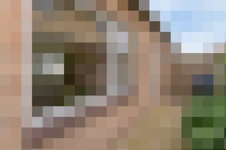 Oude Weidestraat 12 Gameren thumbnail 32