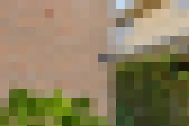 Oude Weidestraat 12 Gameren thumbnail 33