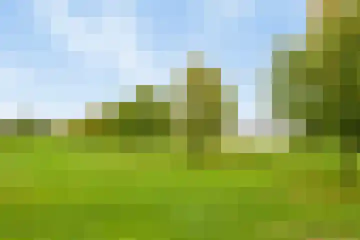 Oude Weidestraat 12 Gameren thumbnail 34