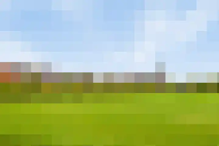 Oude Weidestraat 12 Gameren thumbnail 35