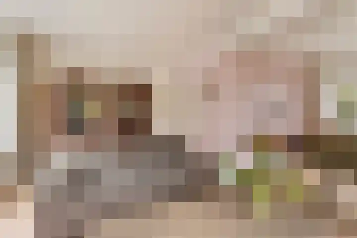 Oude Weidestraat 12 Gameren thumbnail 6