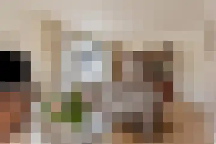 Oude Weidestraat 12 Gameren thumbnail 7