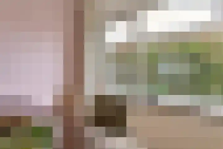 Oude Weidestraat 12 Gameren thumbnail 9