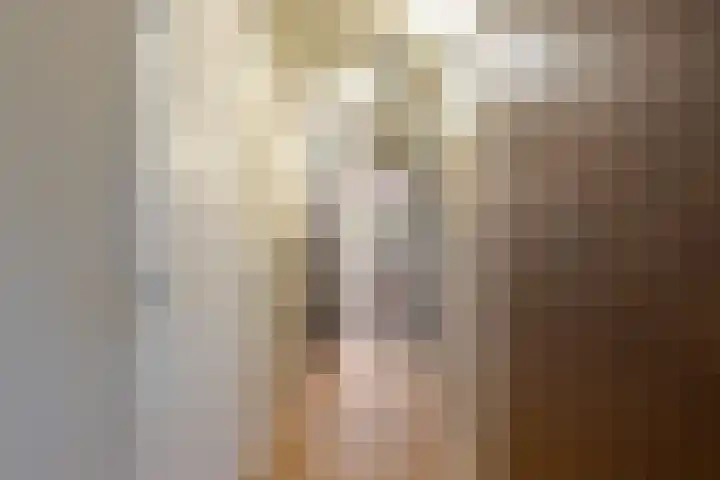 Oude Werf 14 Tholen thumbnail 12