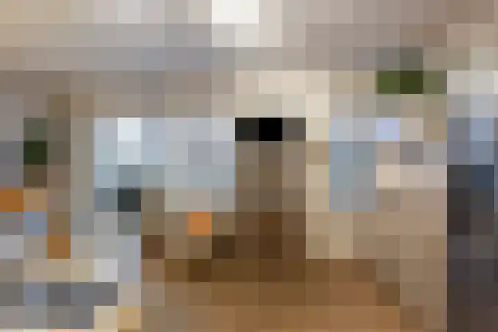 Oude Werf 14 Tholen thumbnail 14
