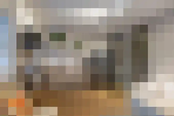 Oude Werf 14 Tholen thumbnail 16