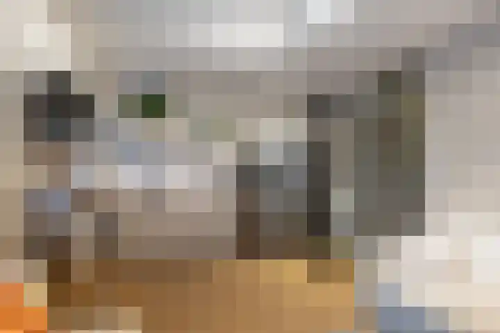 Oude Werf 14 Tholen thumbnail 17