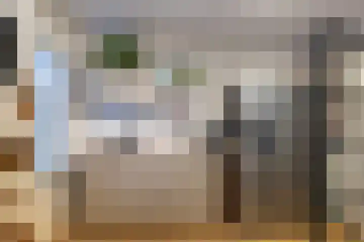Oude Werf 14 Tholen thumbnail 18