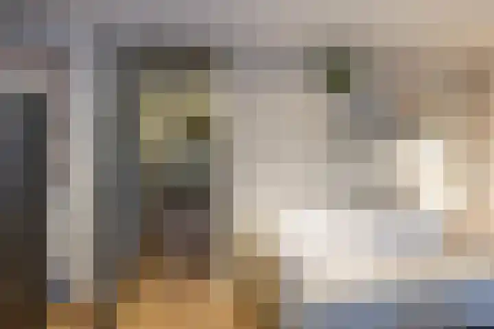 Oude Werf 14 Tholen thumbnail 19